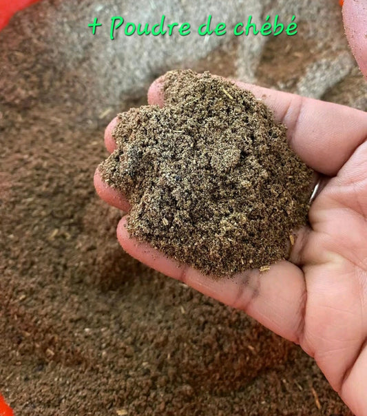 Poudre de Chébé 100G